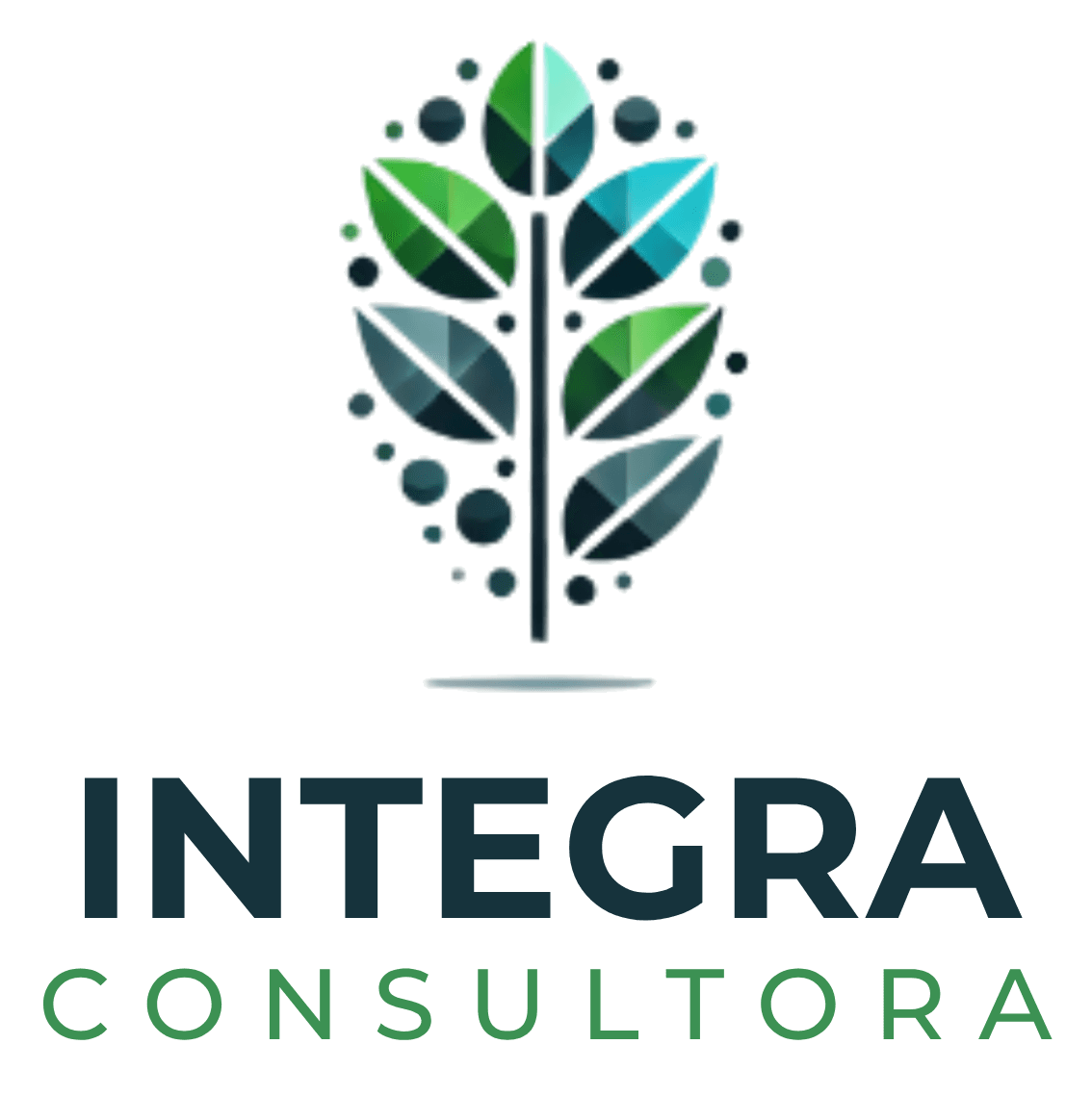 INTEGRA CONSULTORA